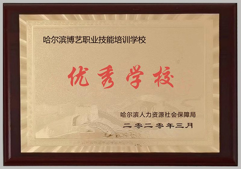 2020年3月哈尔滨人力资源社会保障局颁发给博艺电脑学校的优秀学校奖牌照片