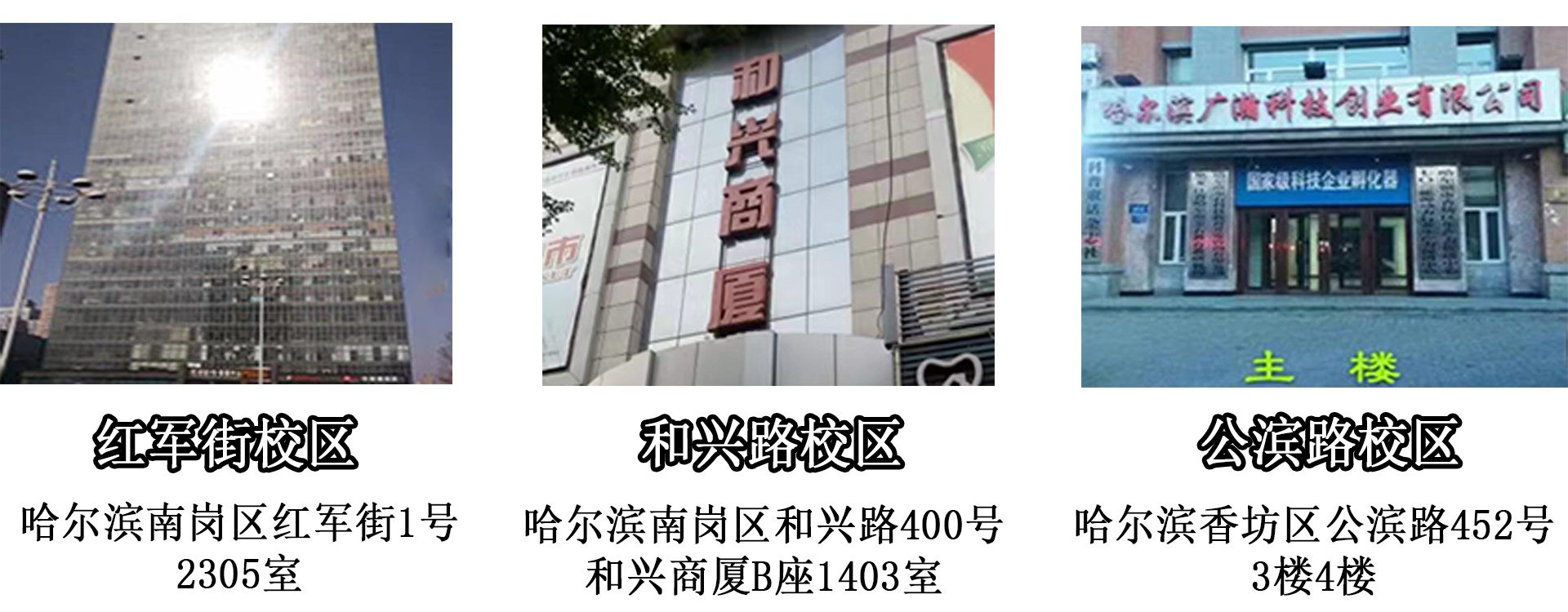 红军街校区地址：哈尔滨南岗区红军街1号2305室。和兴路校区地址：哈尔滨南岗区和兴路400号和兴商厦B座1403室。公滨路校区地址：哈尔滨香坊区公滨路452号3楼4楼。
